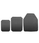 Model 10079
